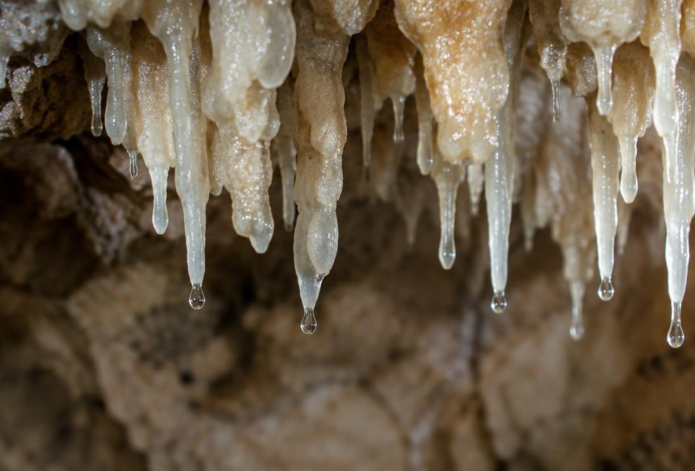 Close-up of dripping stalactites with water droplets