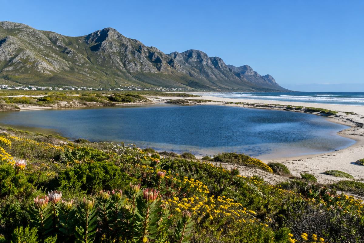 Harold Porter gardens and fynbos above Betty's Bay