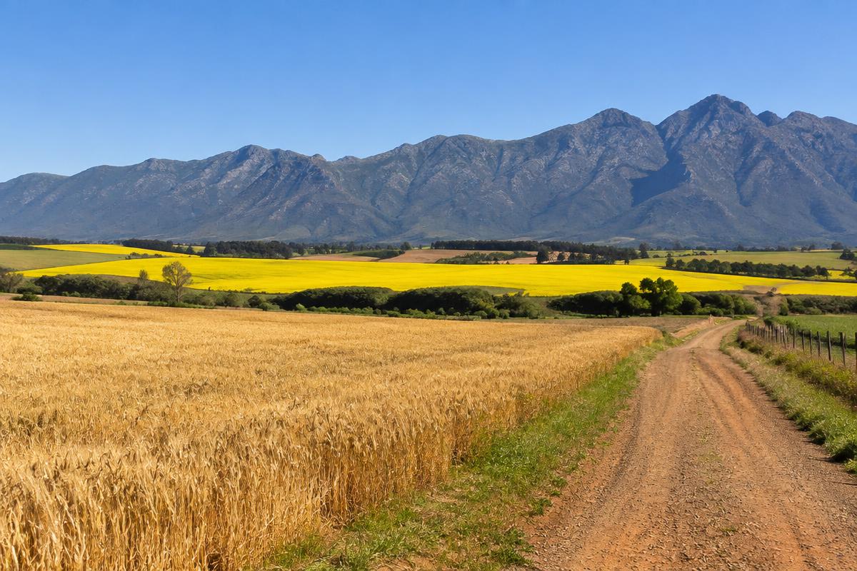 Langeberg mountains above Swellendam farmland