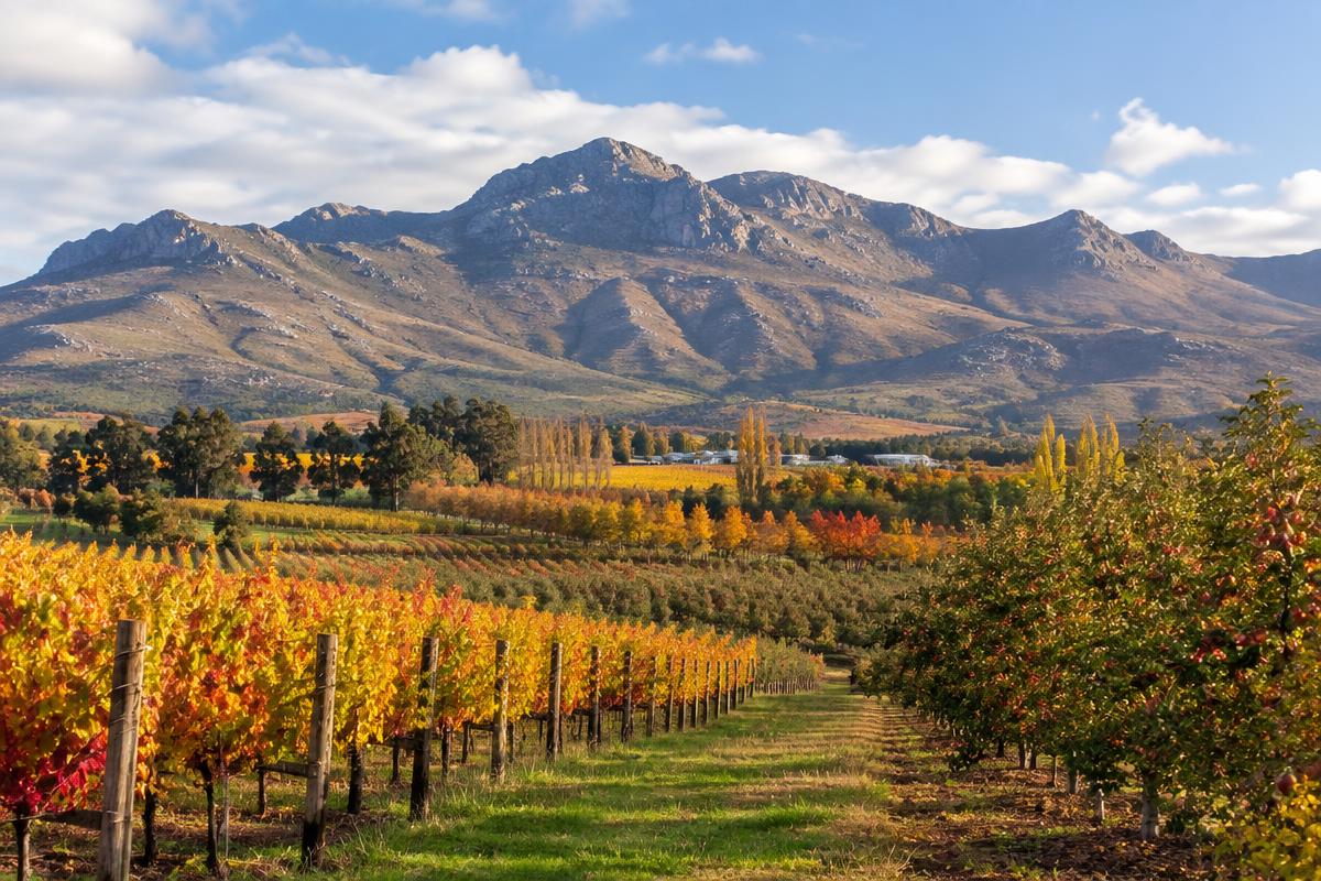 Mountains above the Worcester winelands